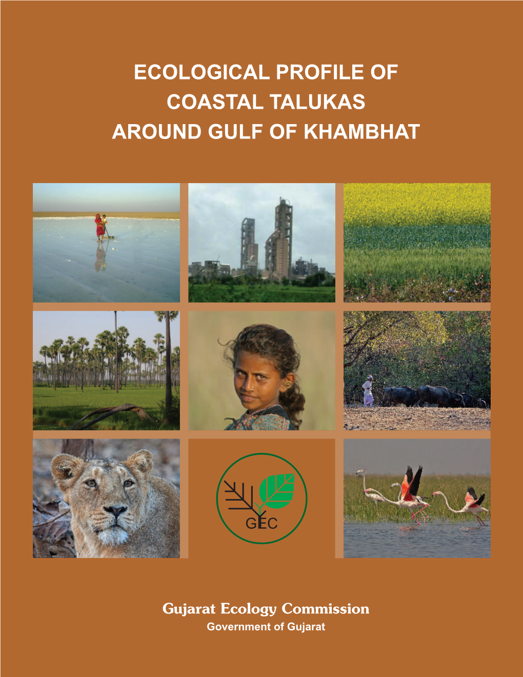 Ecological Profile of Coastal Talukas Around Gulf of Khambhat