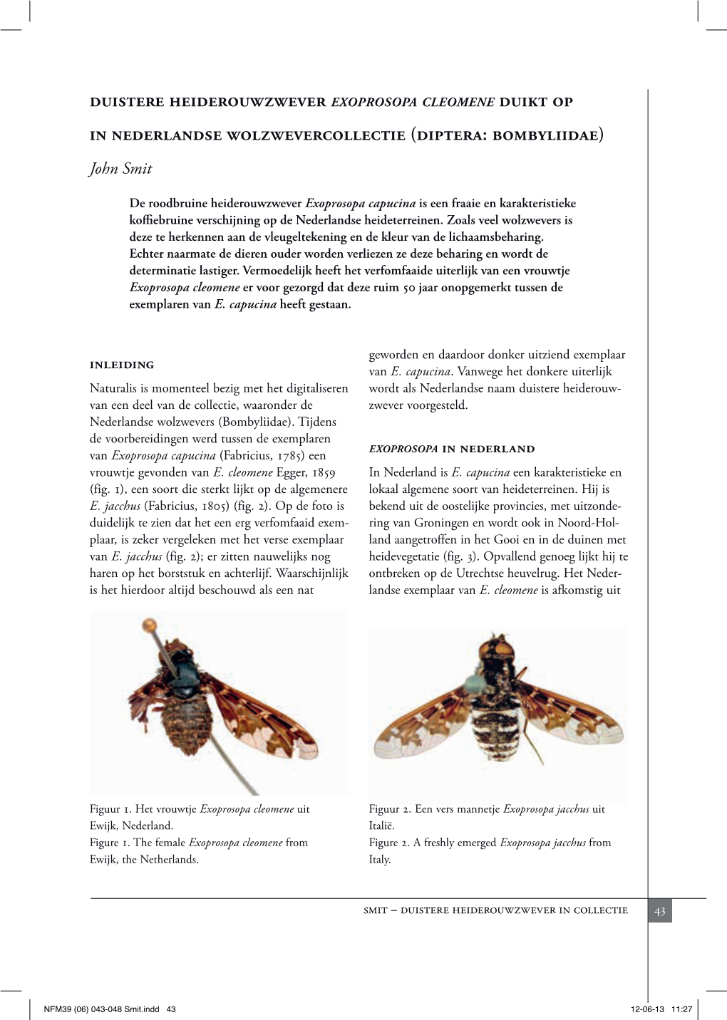 Duistere Heiderouwzwever Exoprosopa Cleomene Duikt Op in Nederlandse Wolzwevercollectie (Diptera: Bombyliidae)