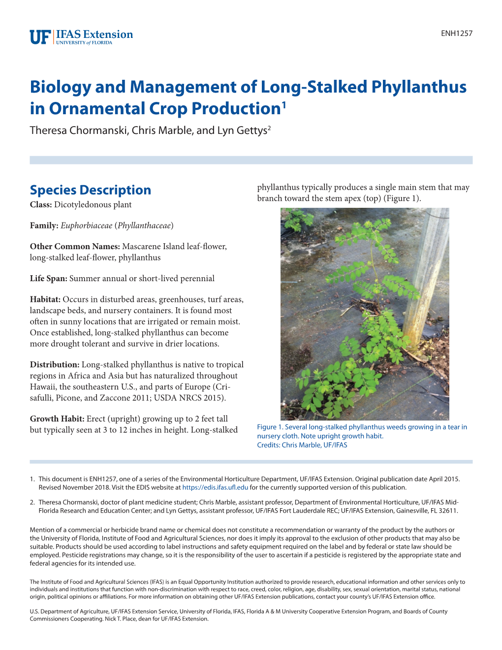 Biology and Management of Long-Stalked Phyllanthus in Ornamental Crop Production1 Theresa Chormanski, Chris Marble, and Lyn Gettys2