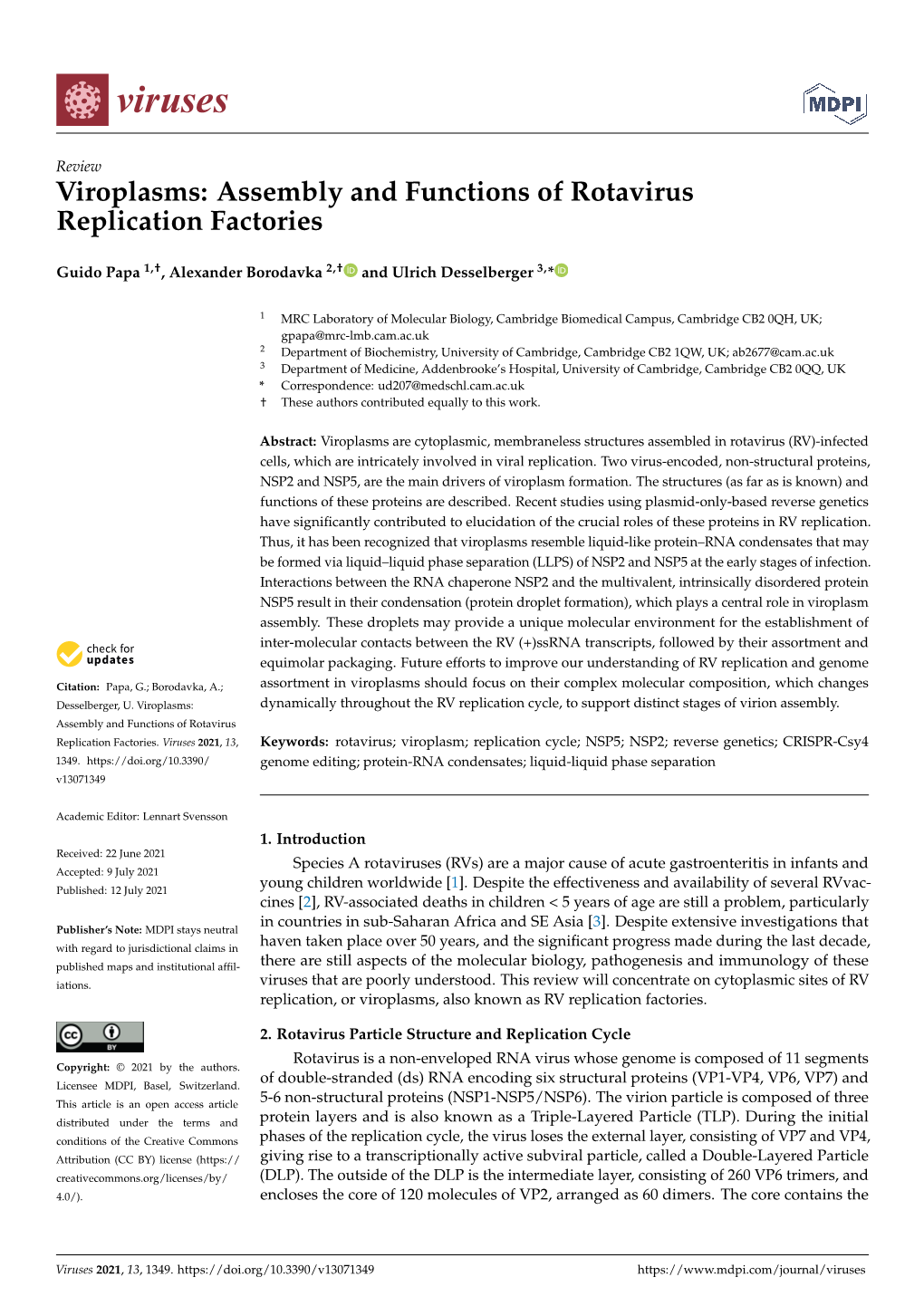 Viroplasms: Assembly and Functions of Rotavirus Replication Factories