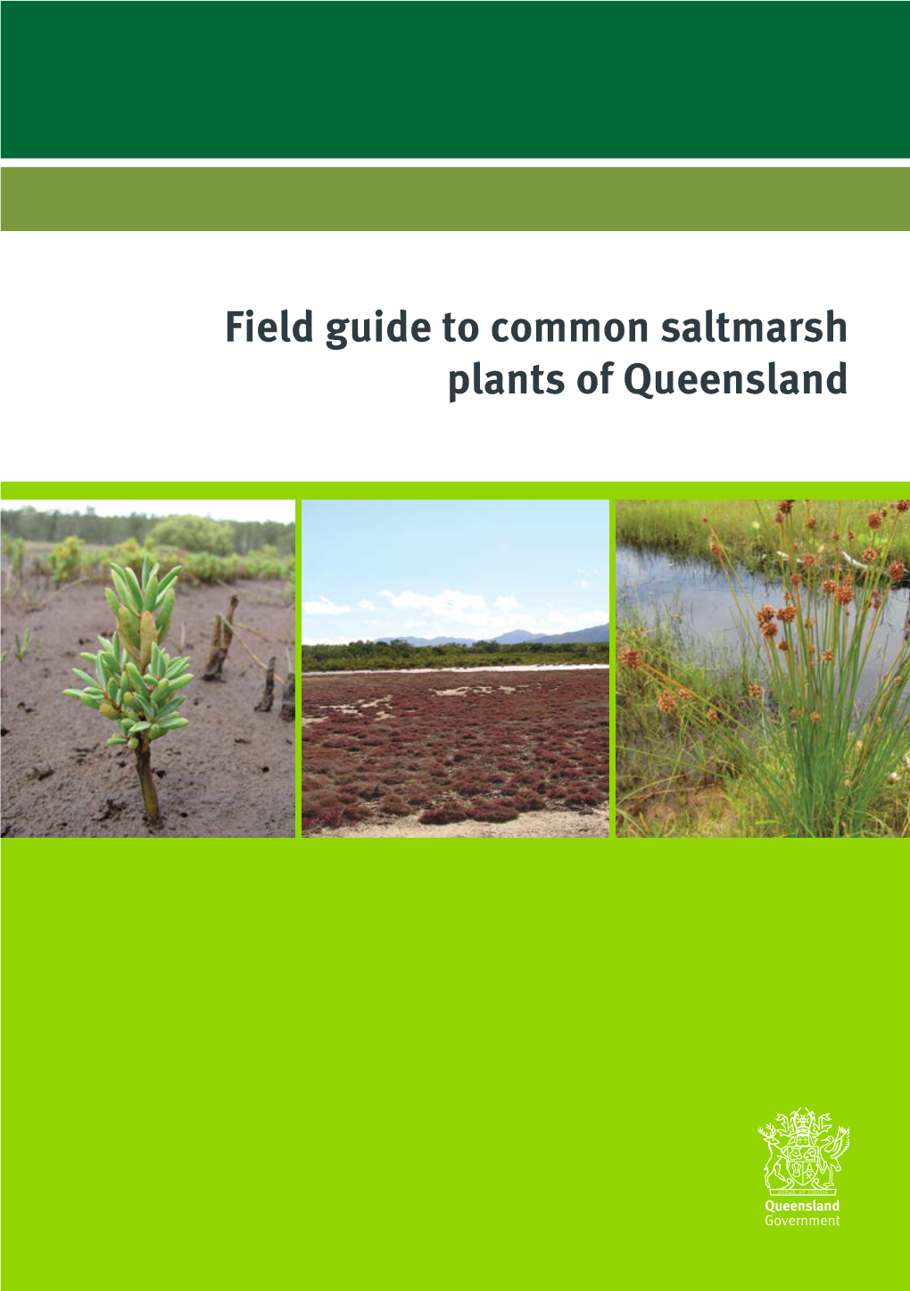 Field Guide to Common Saltmarsh Plants of Queensland