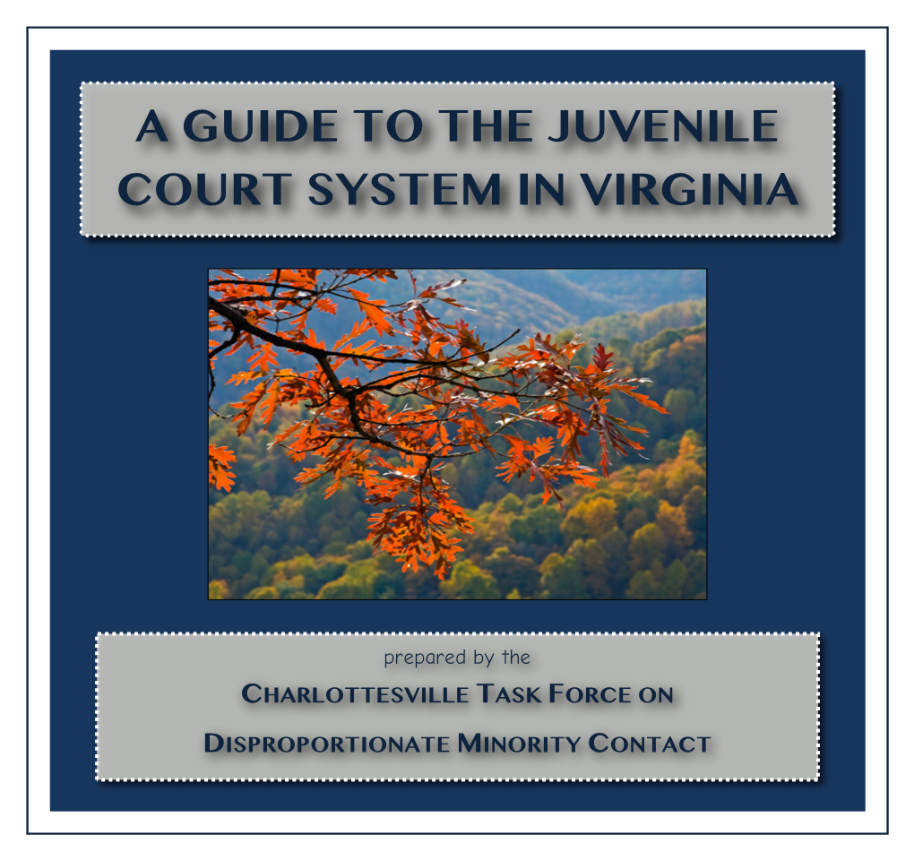 Juvenile Court Guide