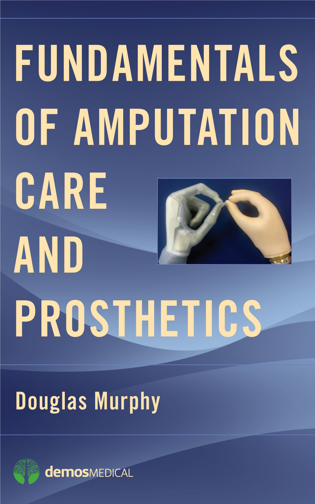 Fundamentals of Amputation Care and Prosthetics