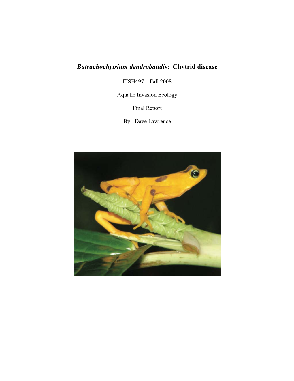 Batrachochytrium Dendrobatidis: Chytrid Disease