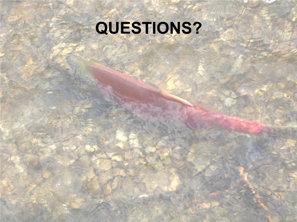 Sockeye Salmon • Steelhead • Spring Chinook • Also Could Help Bull Trout Movement Coho Salmon Potential