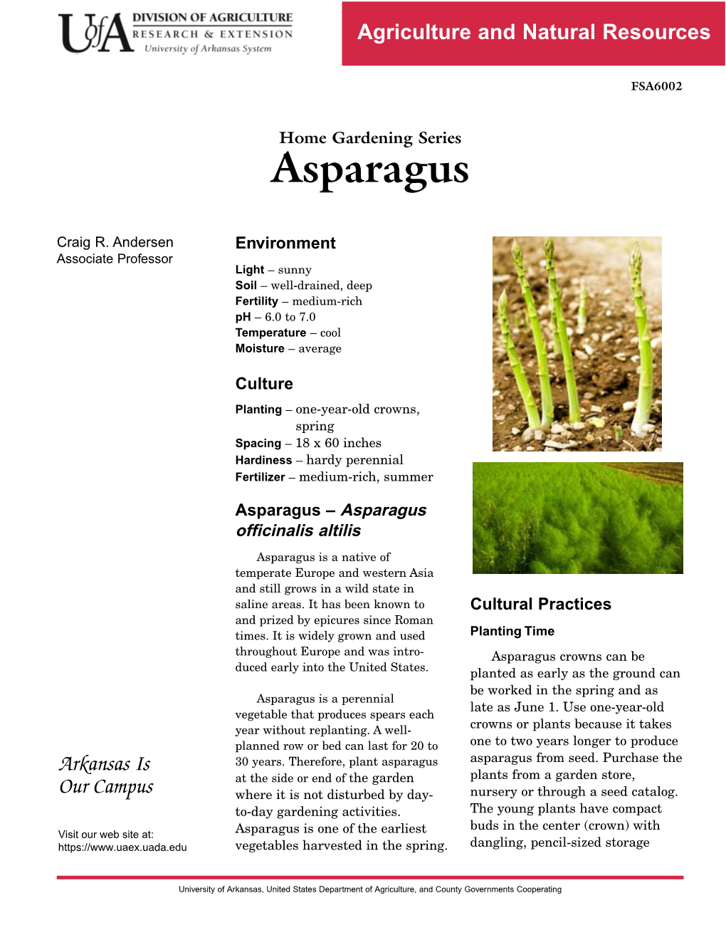 Asparagus (Home Gardening Series)