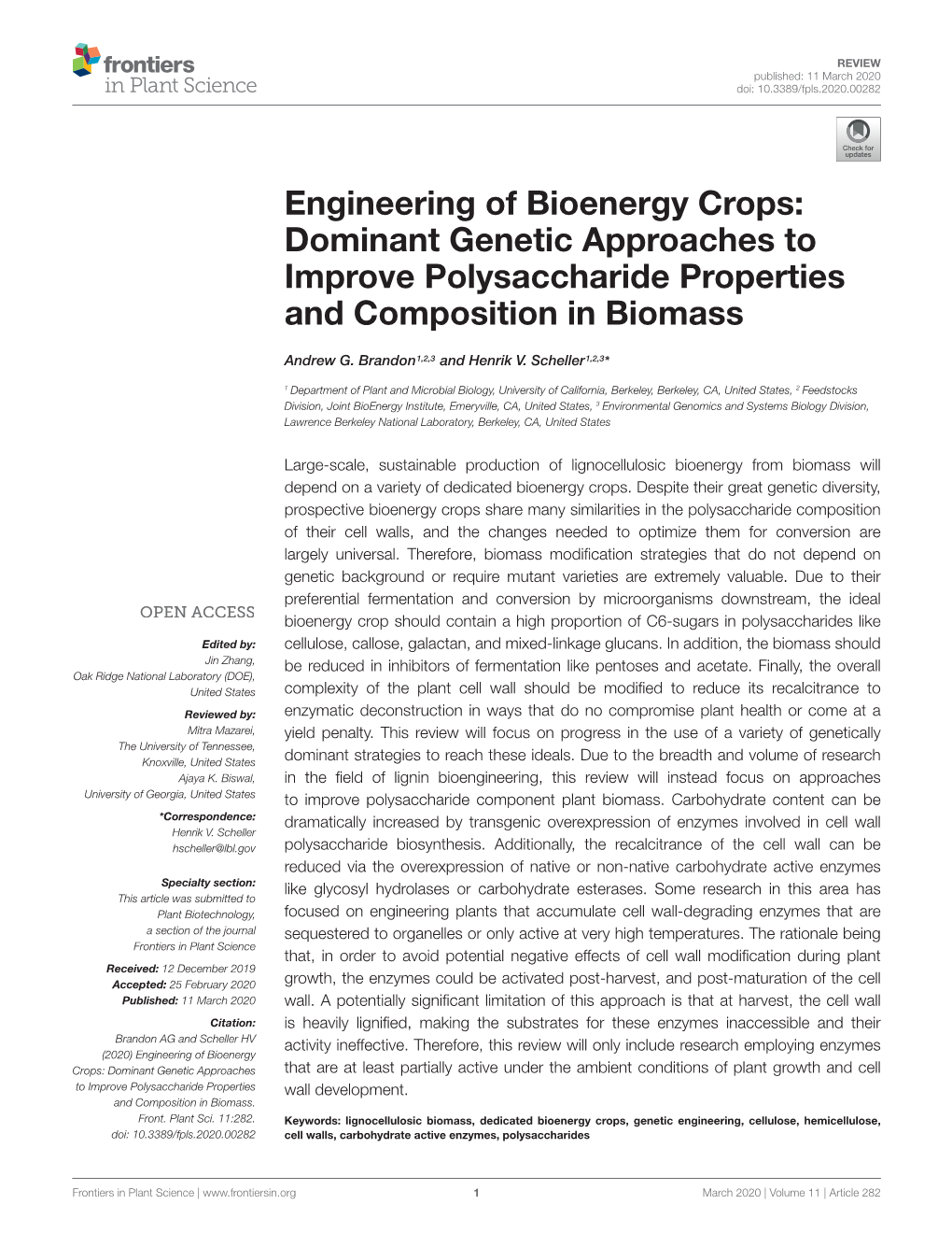 Engineering of Bioenergy Crops: Dominant Genetic Approaches to Improve Polysaccharide Properties and Composition in Biomass