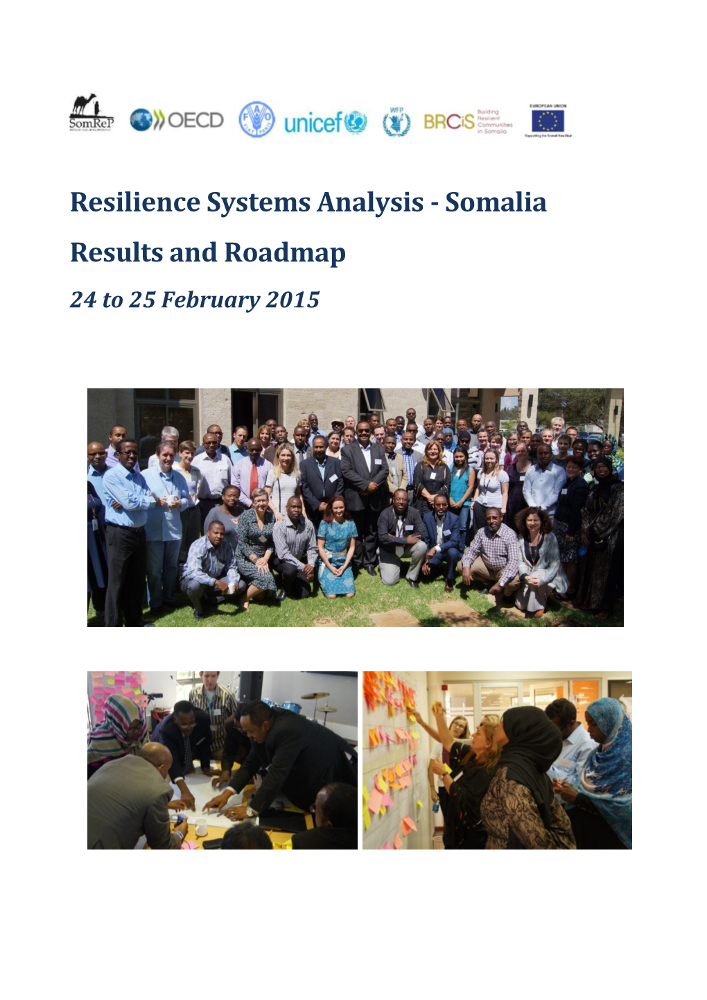 Resilience Systems Analysis - Somalia Results and Roadmap