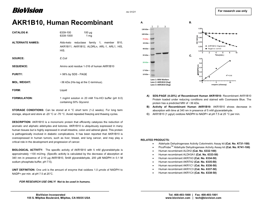 6339-100, -1000, Human Recombinant AKR1B10