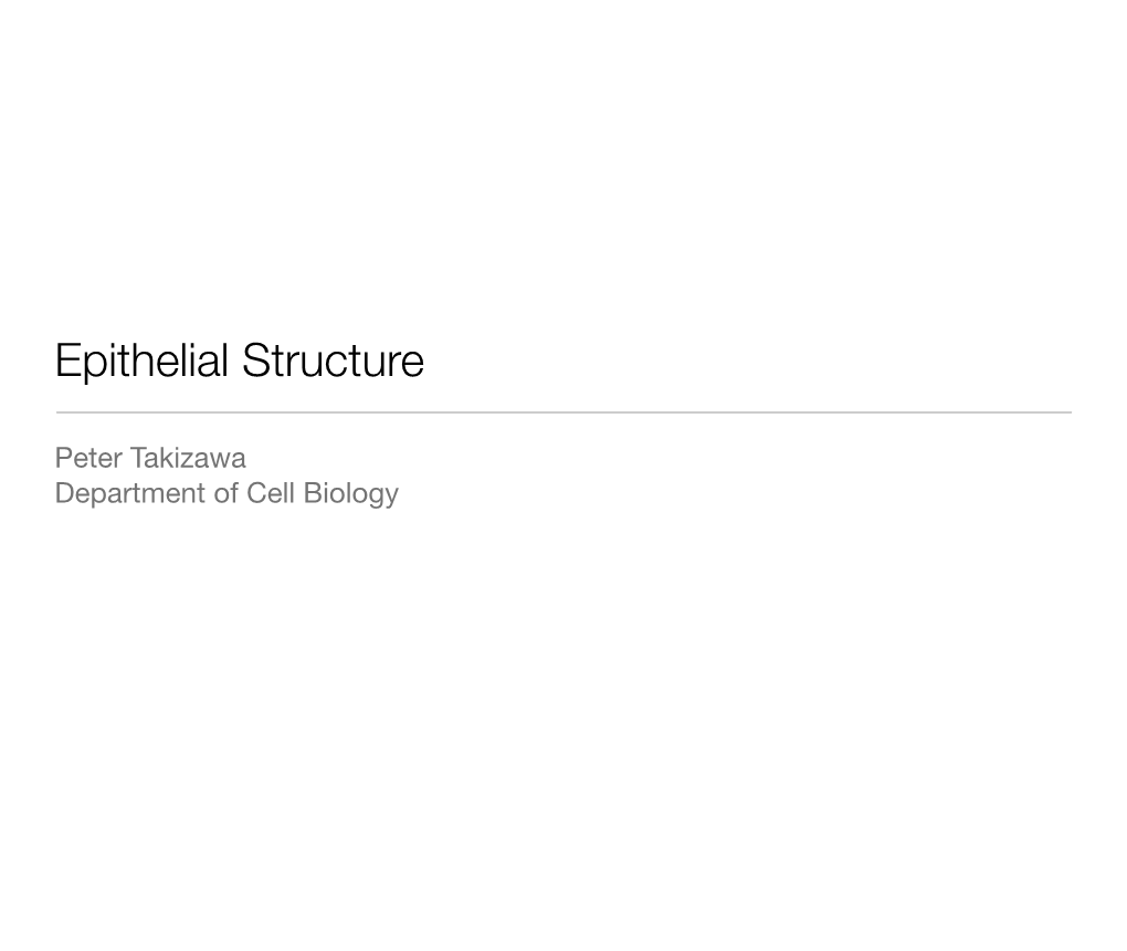 Epithelial Structure