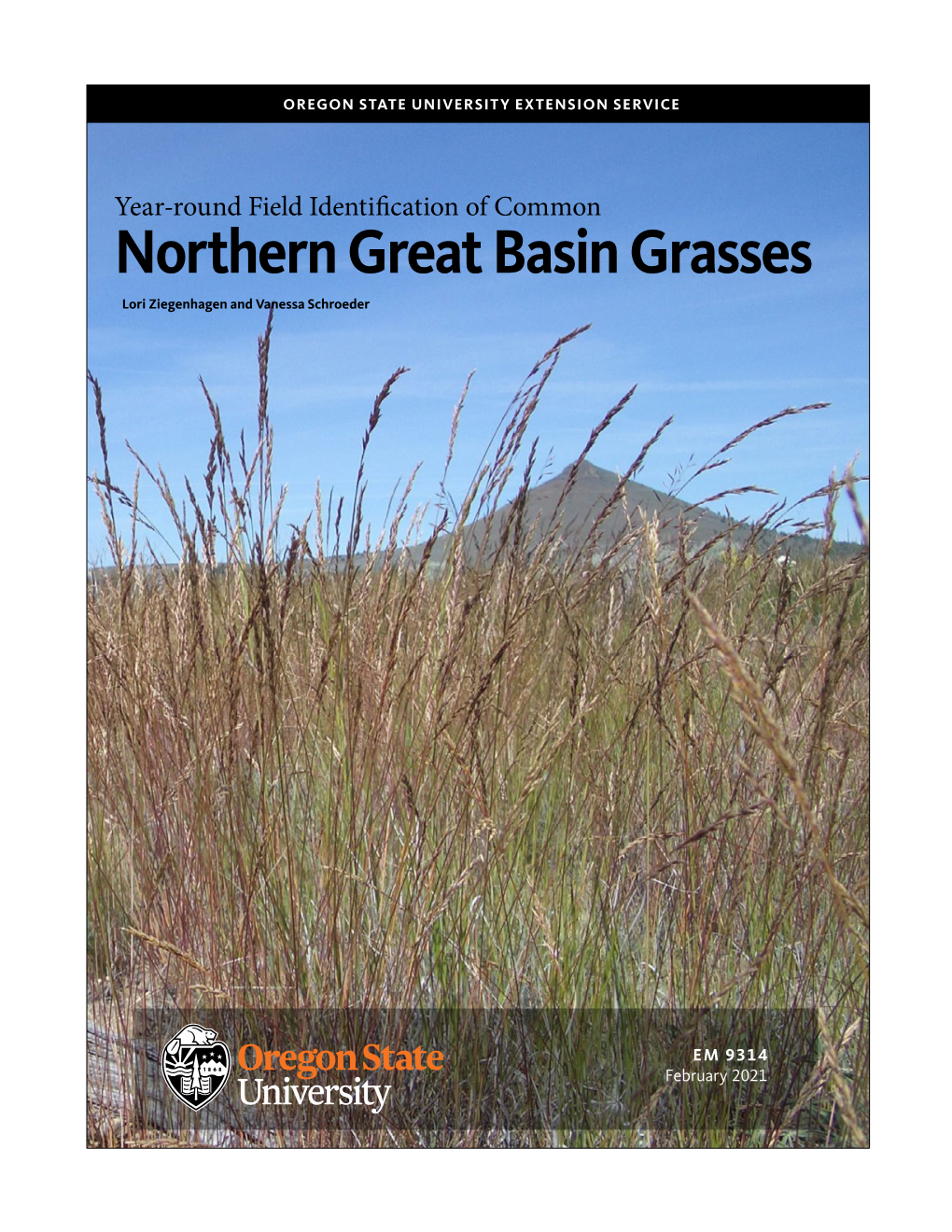 Northern Great Basin Grasses Lori Ziegenhagen and Vanessa Schroeder