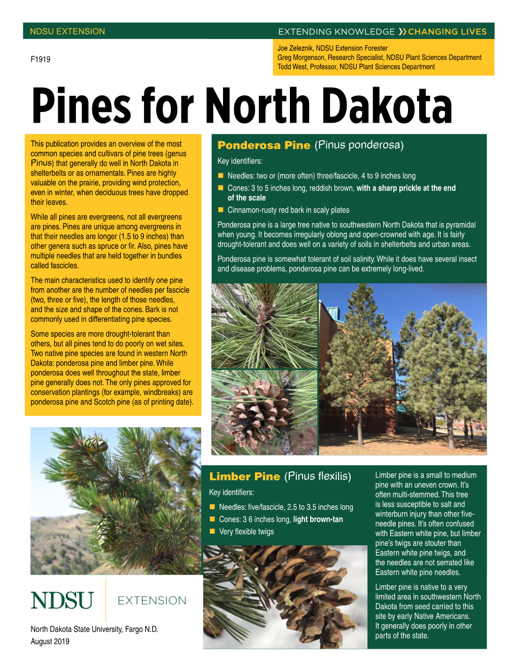 F1919 Pines for North Dakota