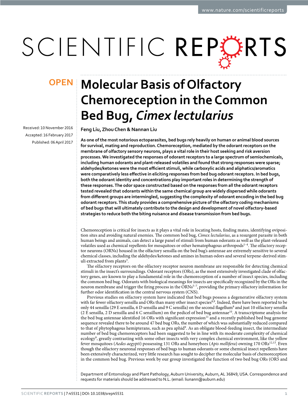 Molecular Basis of Olfactory Chemoreception in the Common