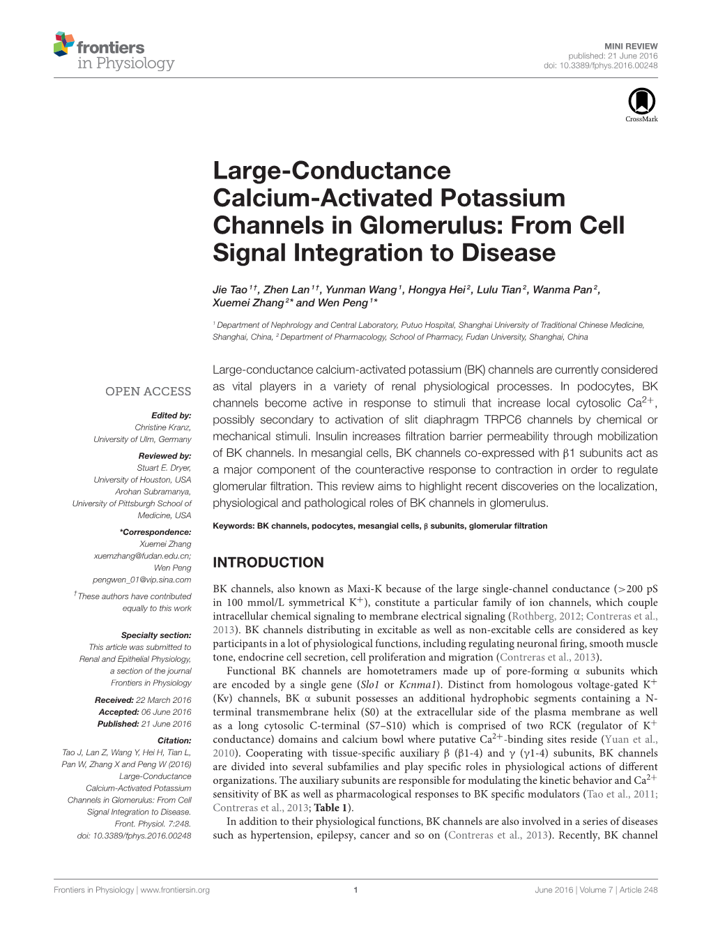 Large-Conductance Calcium-Activated Potassium Channels in Glomerulus: from Cell Signal Integration to Disease