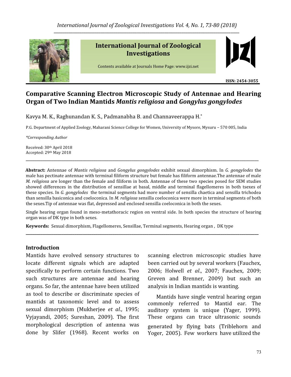 Comparative Scanning Electron Microscopic Study of Antennae and Hearing Organ of Two Indian Mantids Mantis Religiosa and Gongylus Gongylodes