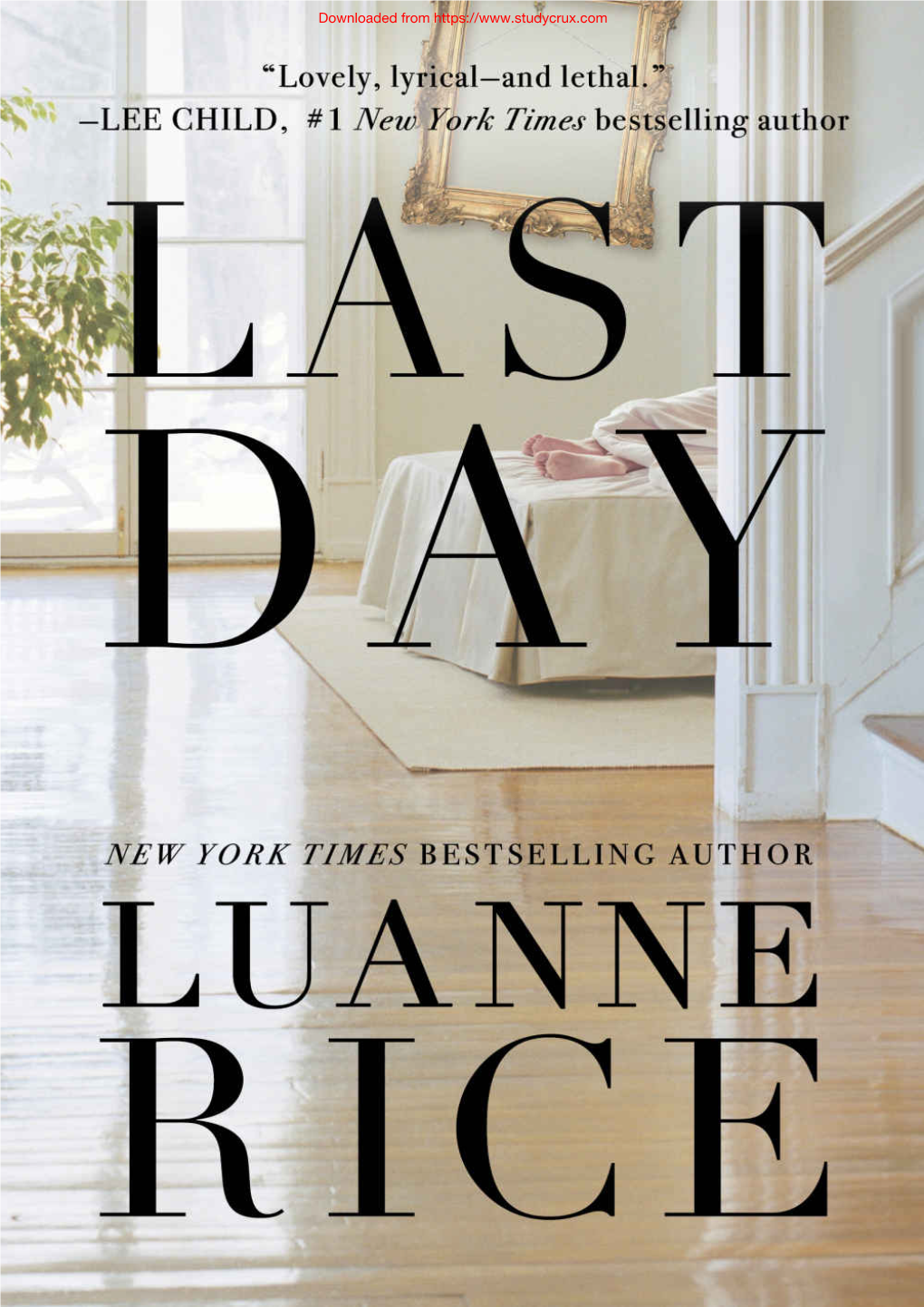Last Day, Luanne Rice Shows Once Again Her Unique Gift for Portraying the Emotional Landscape of a Family