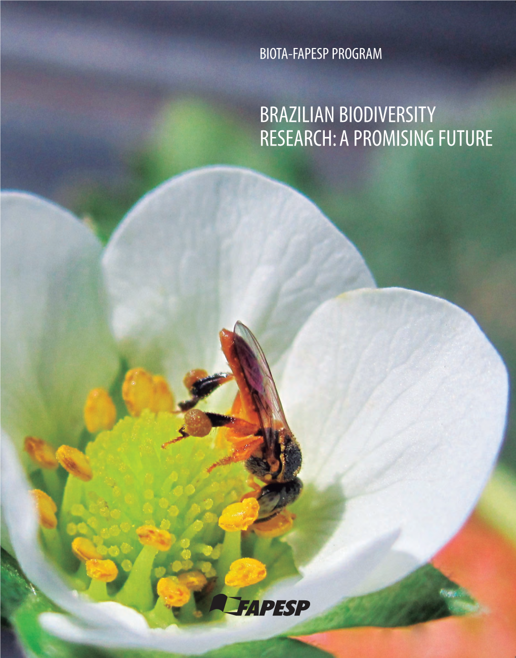 Brazilian Biodiversity Research: a Promising Future