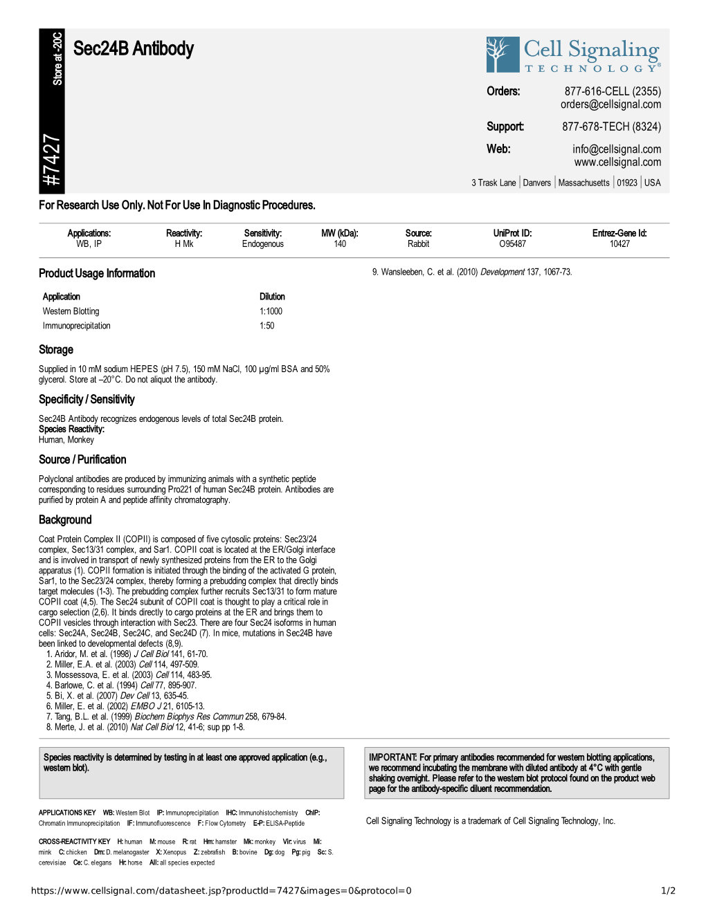 Sec24b Antibody A