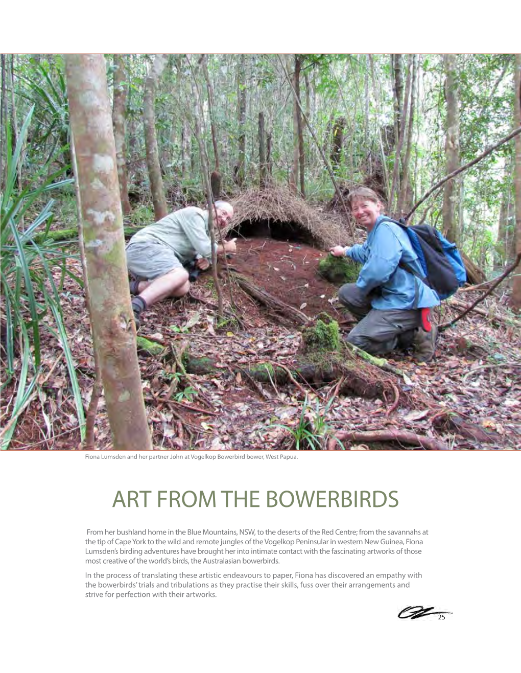 Art from the Bowerbirds