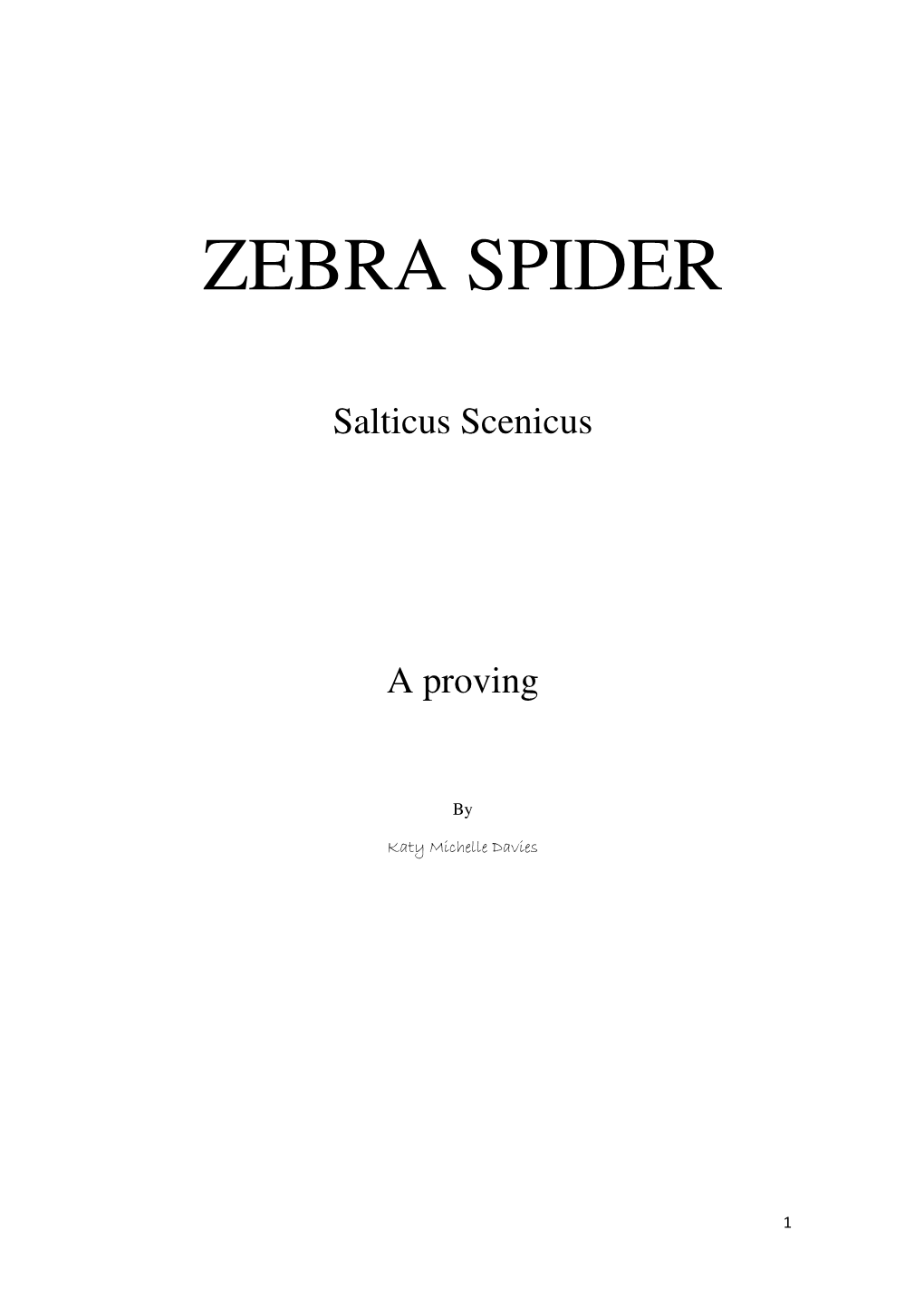 Zebra Spider