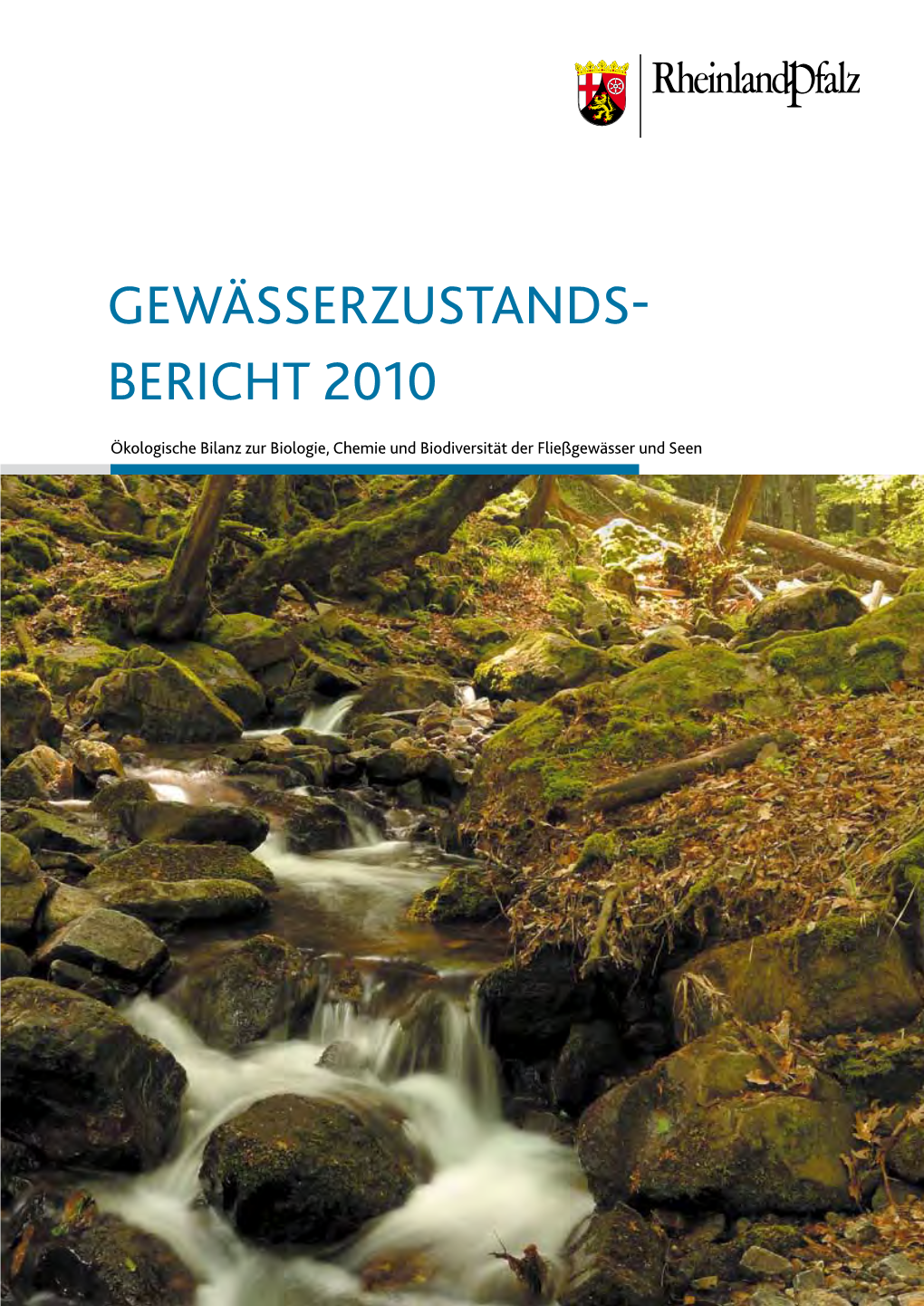 Gewässerzustands- Bericht 2010