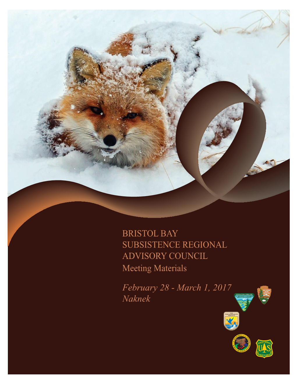 BRISTOL BAY SUBSISTENCE REGIONAL ADVISORY COUNCIL Meeting Materials February 28