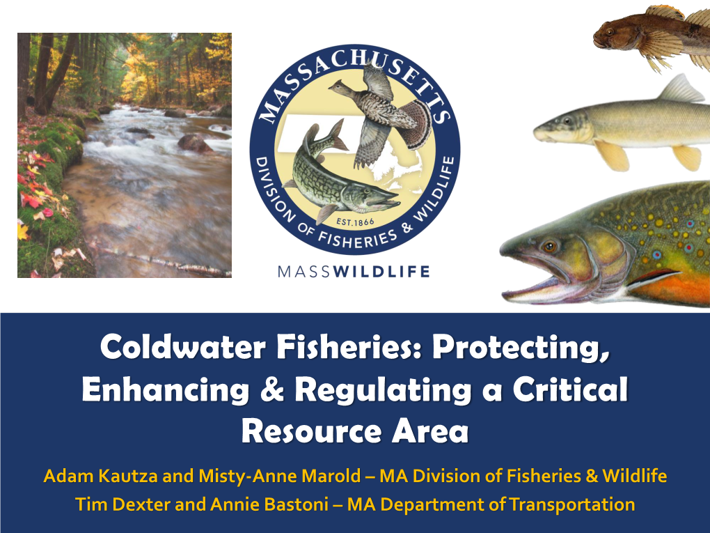 Coldwater Fisheries: Protecting, Enhancing & Regulating a Critical