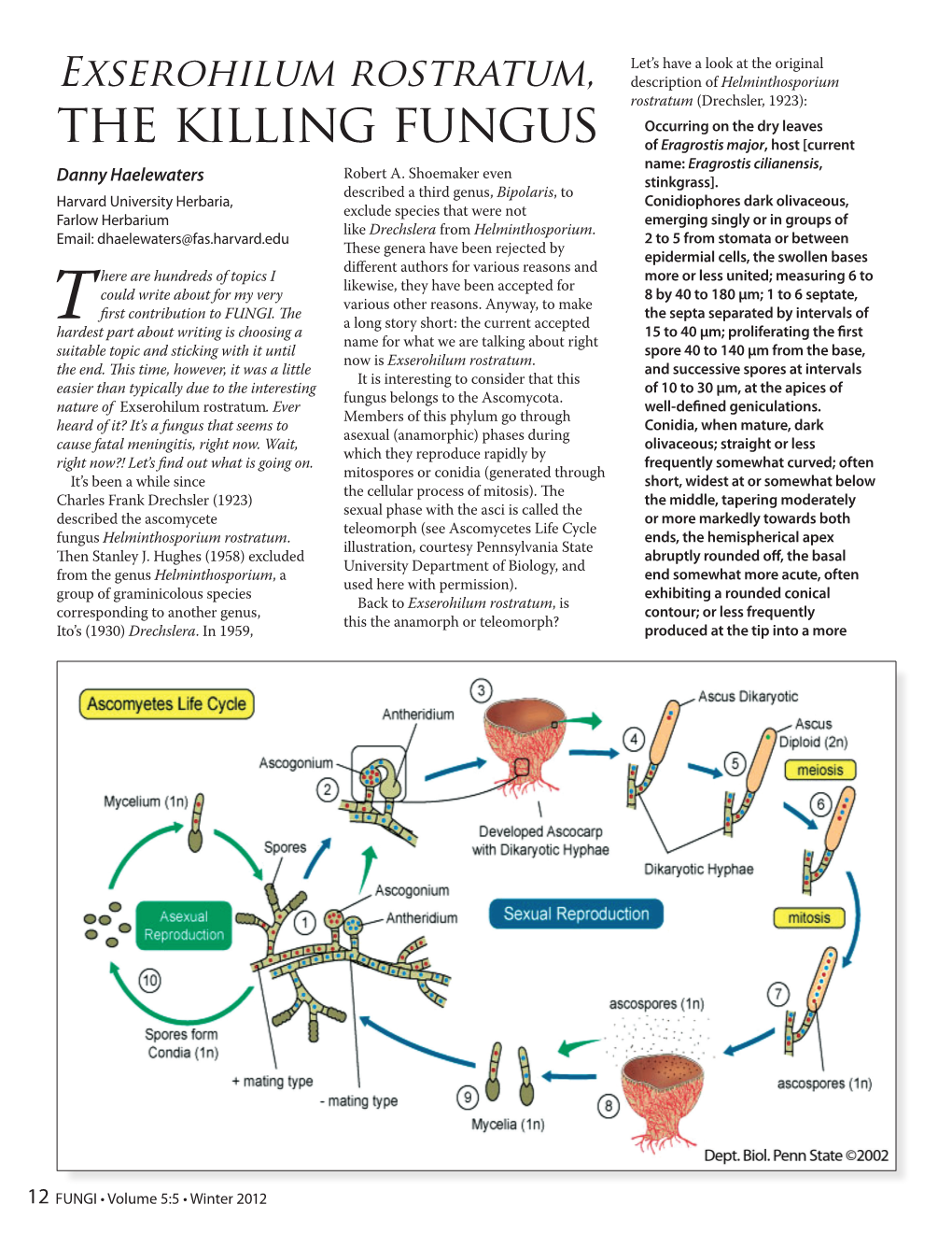 Exserohilum Rostratum, the Killing Fungus