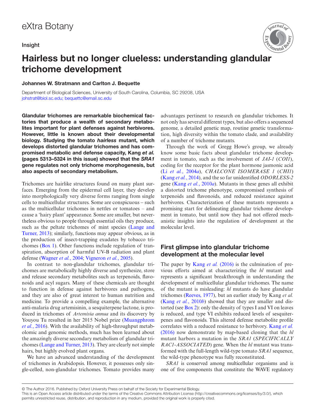 Understanding Glandular Trichome Development