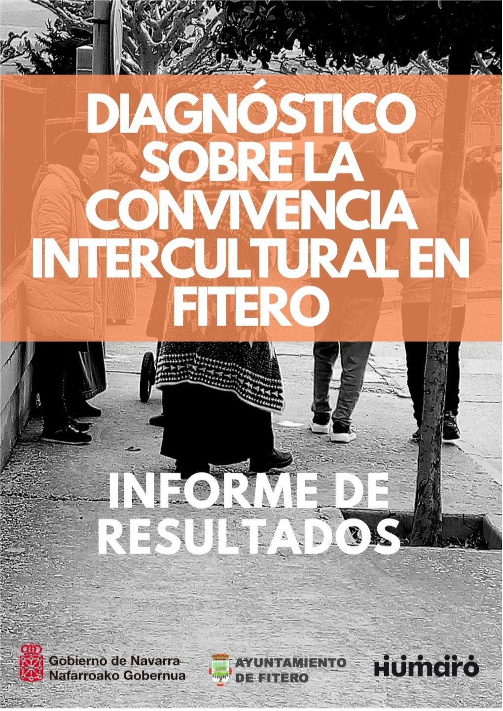 Diagnóstico Sobre La Convivencia Intercultural En Fitero. Informe De Resultados