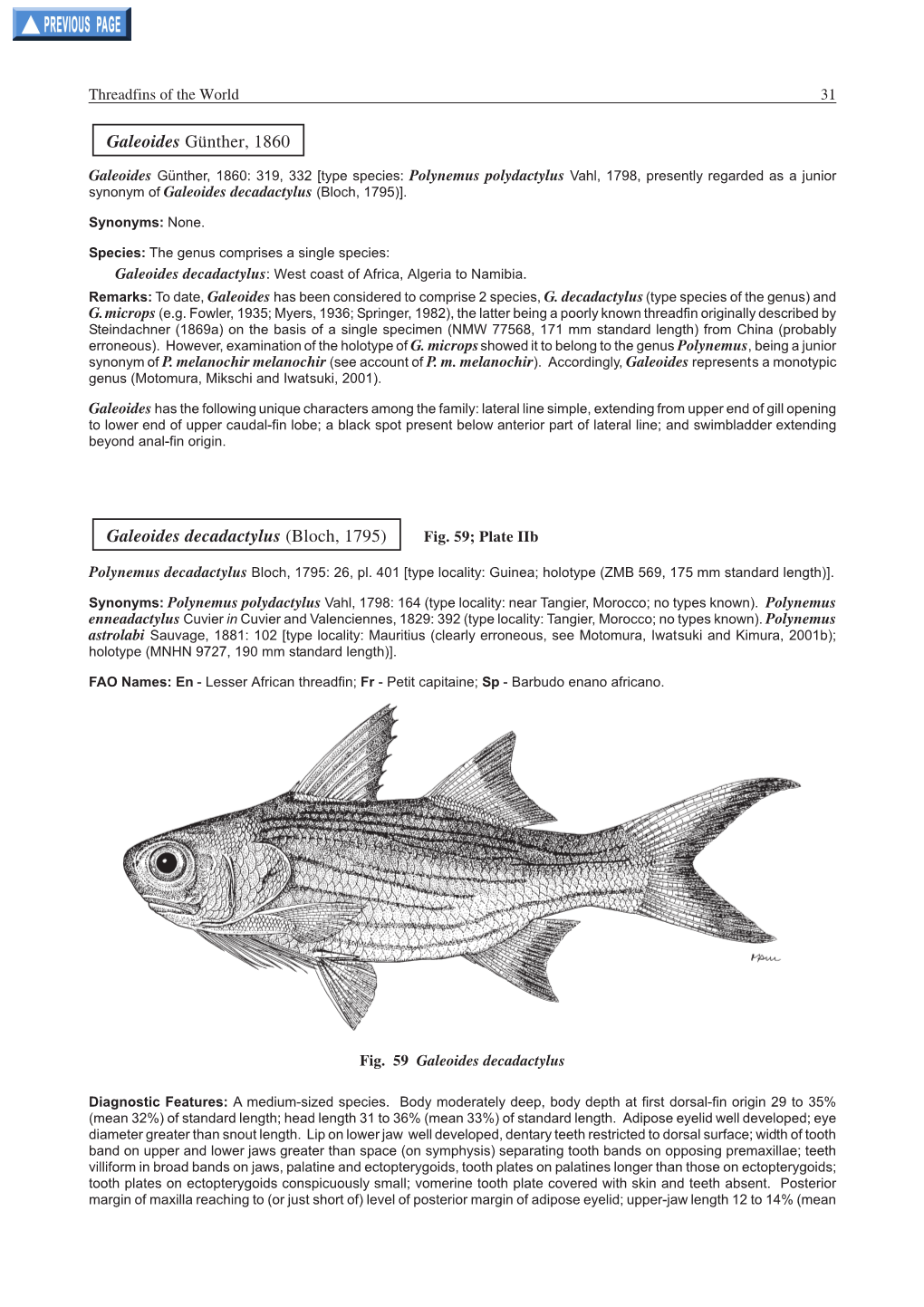 Galeoides Günther, 1860 Galeoides Decadactylus (Bloch, 1795)