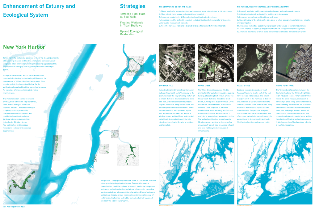 New York Harbor Enhancement of Estuary and Ecological System Strategies