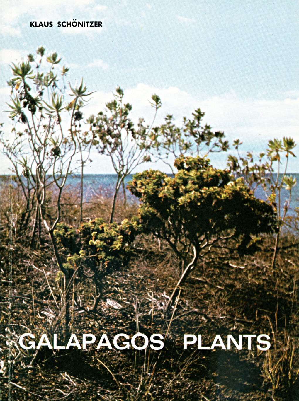 The Galapagos Islands Are Famous for Their Unique and Tame Animals