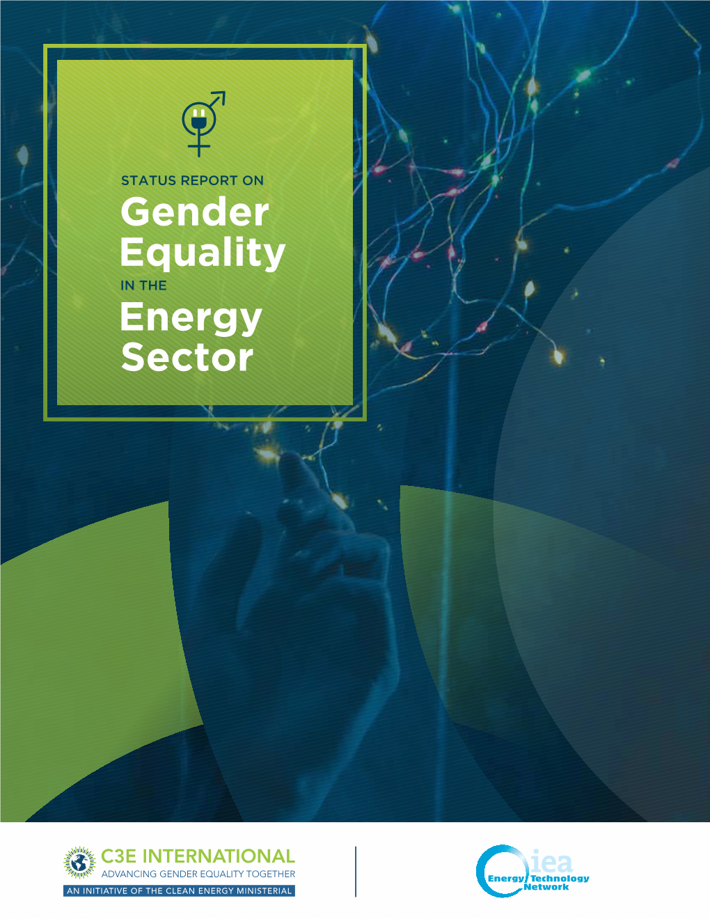 Status Report on Gender Equality in the Energy Sector