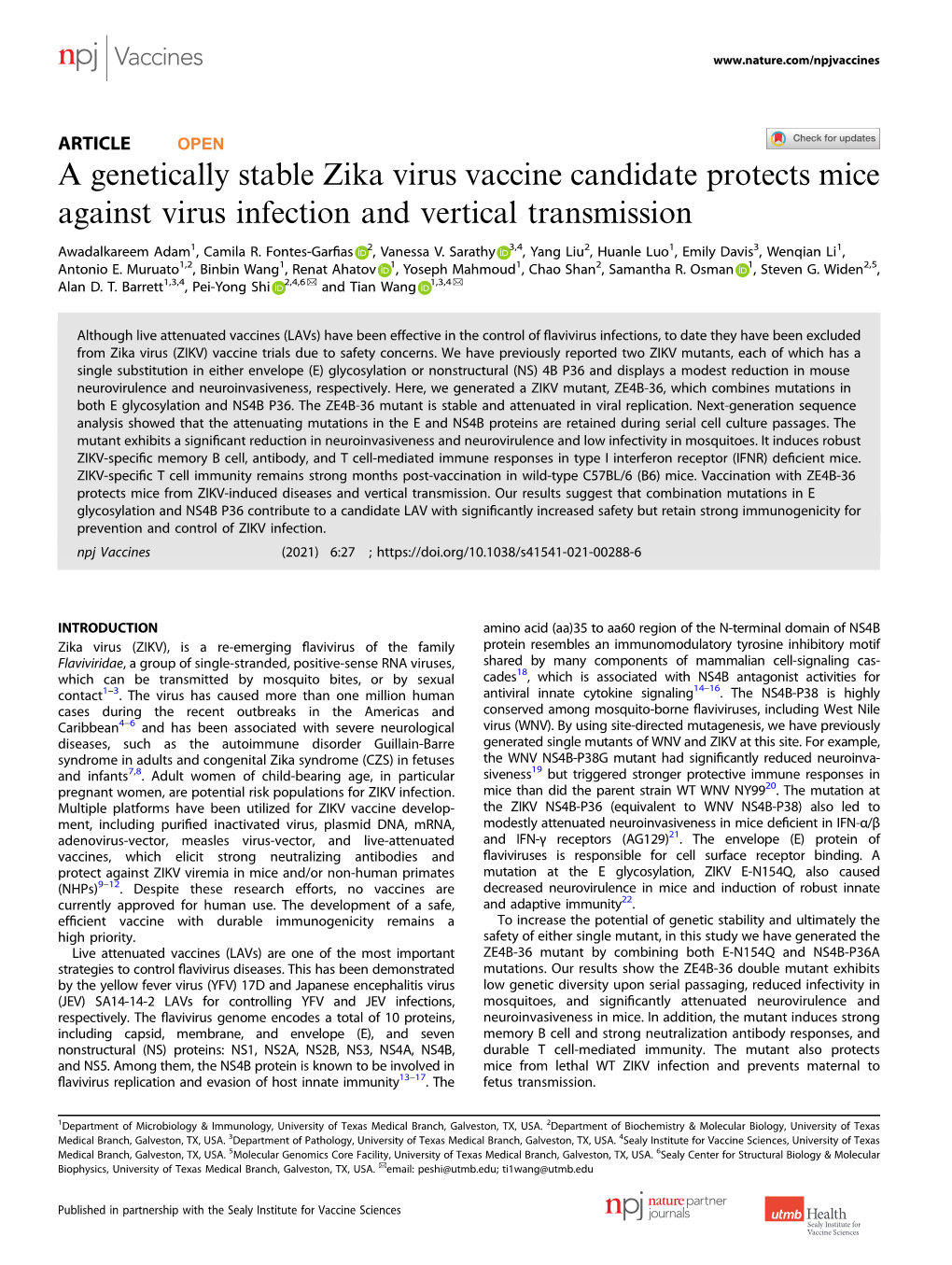 A Genetically Stable Zika Virus Vaccine Candidate Protects Mice Against Virus Infection and Vertical Transmission