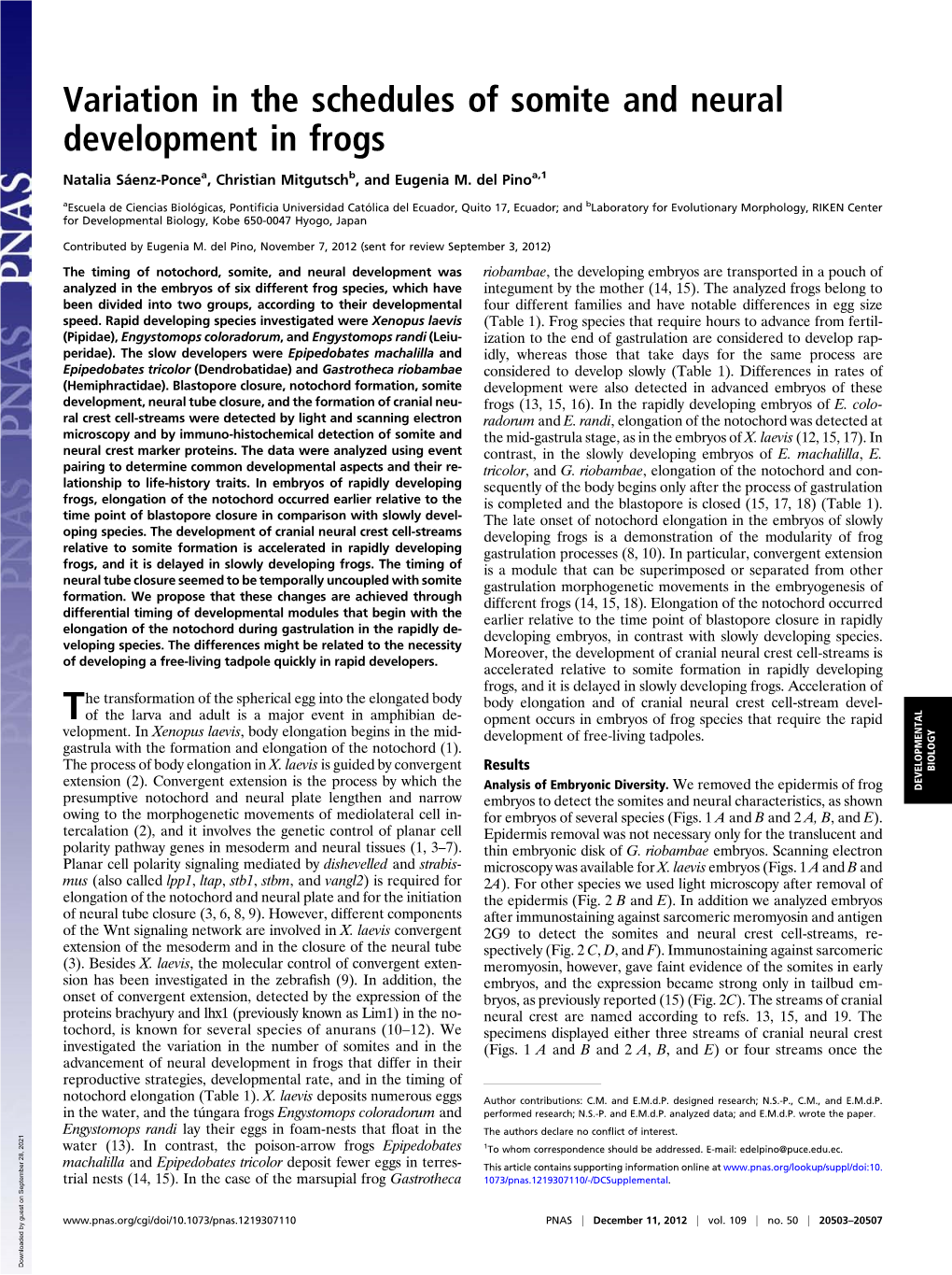 Variation in the Schedules of Somite and Neural Development in Frogs