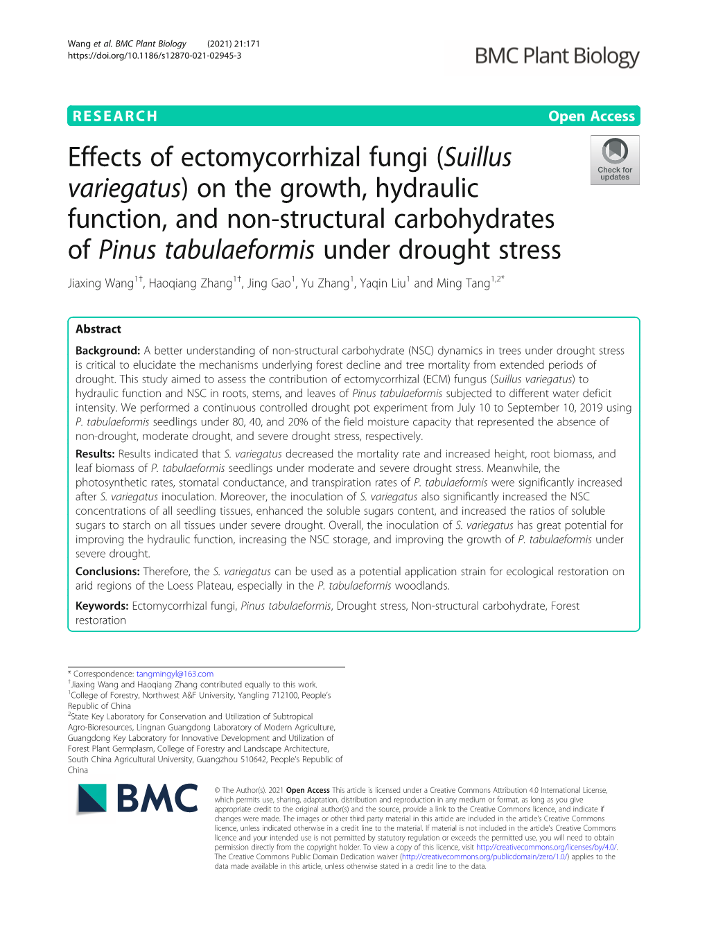 Effects of Ectomycorrhizal Fungi (Suillus Variegatus) on the Growth