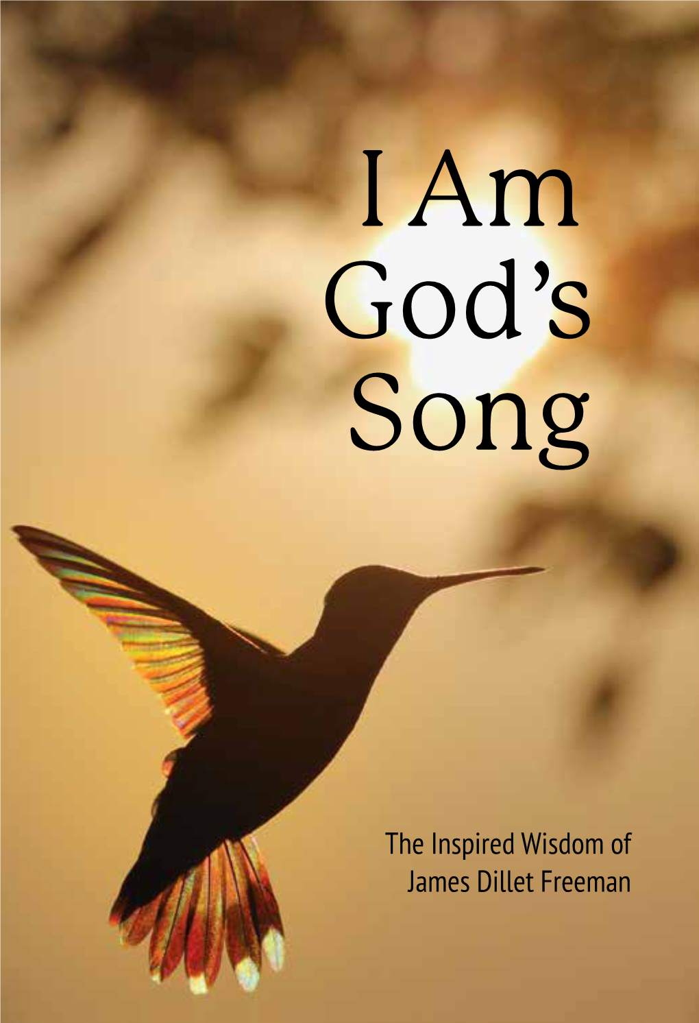 I Am God's Song