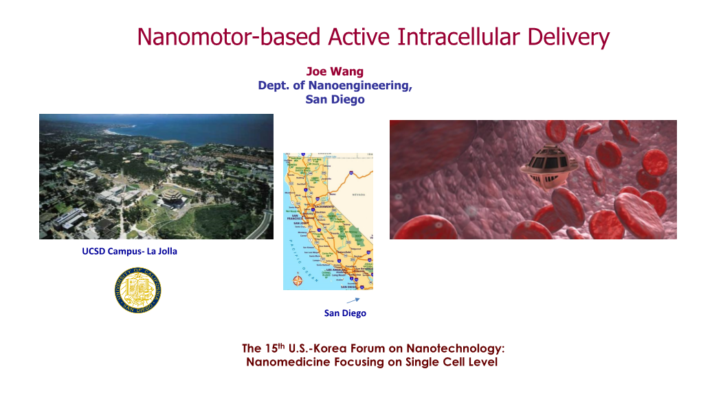 Nanomotor-Based Active Intracellular Delivery