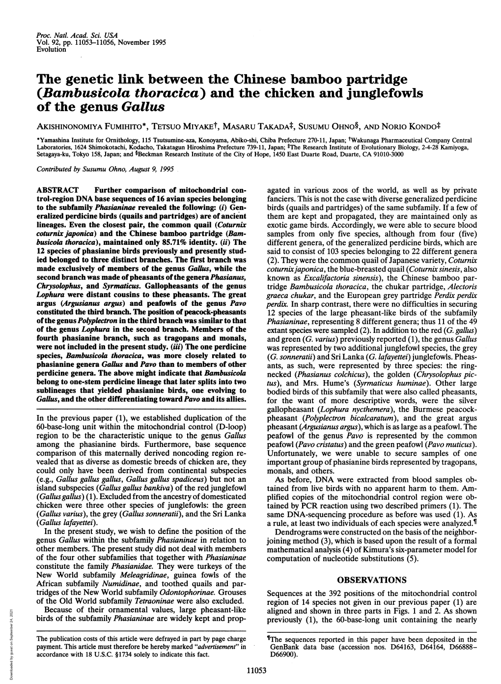 The Genetic Link Between the Chinese Bamboo Partridge (Bambusicola Thoracica) and the Chicken and Junglefowls of the Genus Gallu