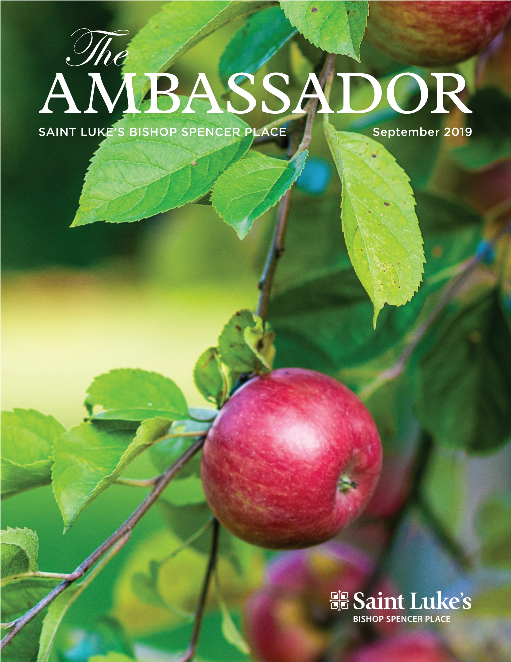 September 2019 Ambassador Newsletter