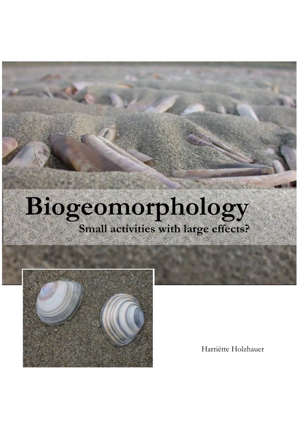 Biogeomorphology Small Activities with Large Effects?