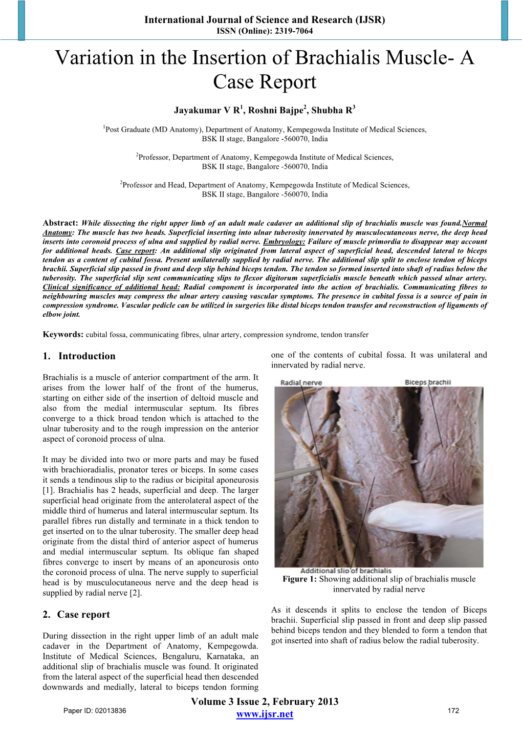 Variation in the Insertion of Brachialis Muscle- a Case Report