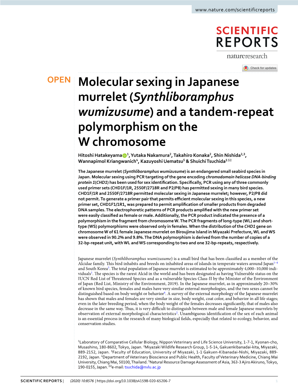 Molecular Sexing in Japanese Murrelet (Synthliboramphus Wumizusume) and a Tandem-Repeat Polymorphism on the W Chromosome