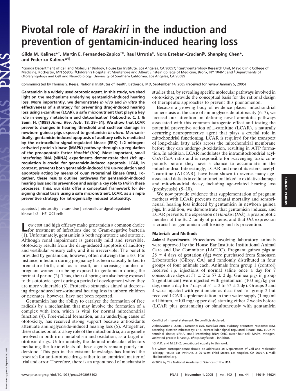 Pivotal Role of Harakiri in the Induction and Prevention of Gentamicin-Induced Hearing Loss