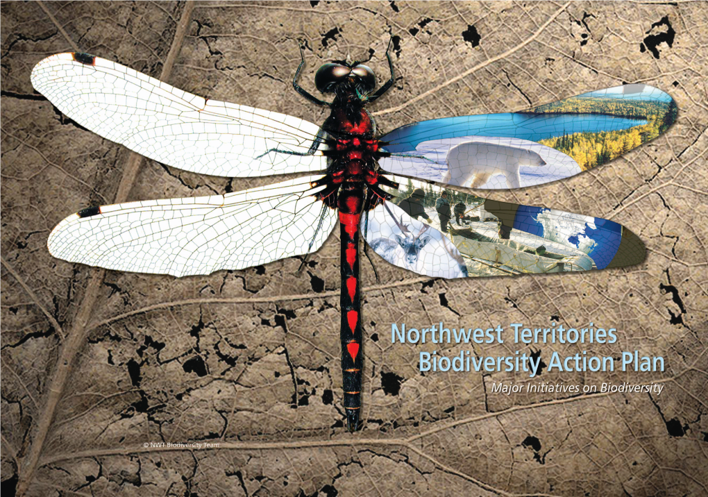 NWT Biodiversity Action Plan, Soon Available on the Internet