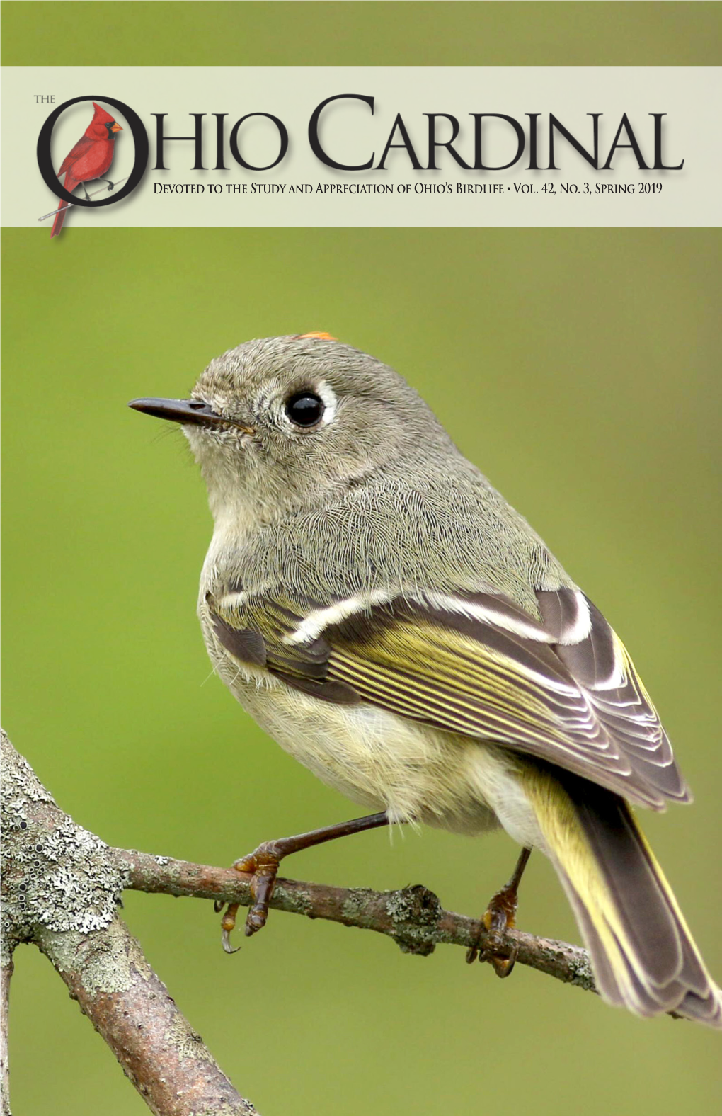 Devoted to the Study and Appreciation of Ohio's Birdlife • Vol. 42, No. 3