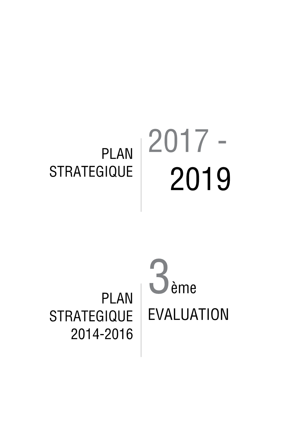 Plan Stratégique 2017-2019