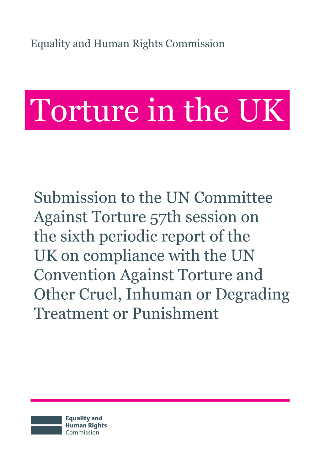 Torture in the UK Review