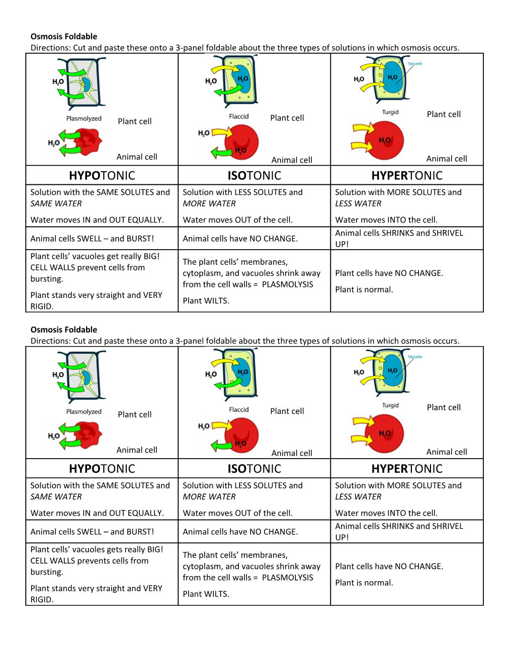 Osmosis Foldable